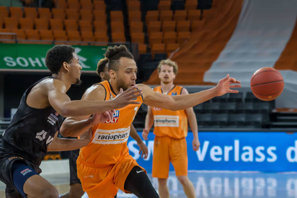 开了华丽的 开了华丽的